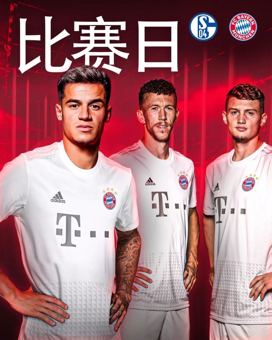 不仅维