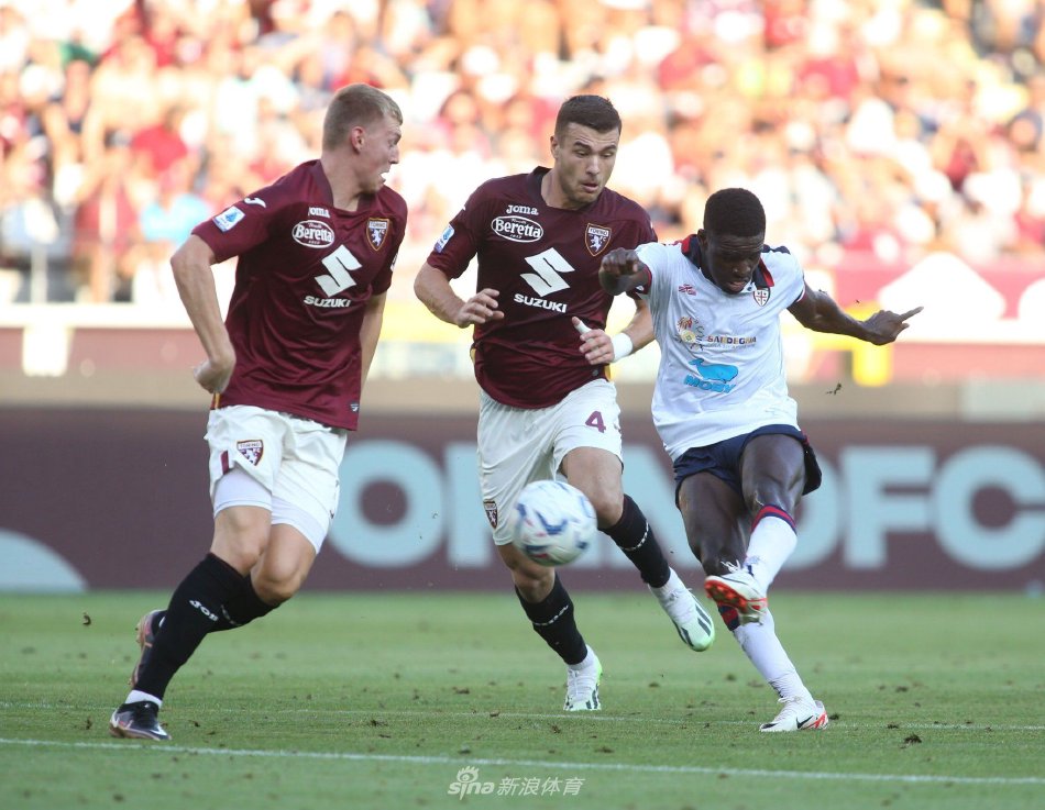 献的信心 献的信心